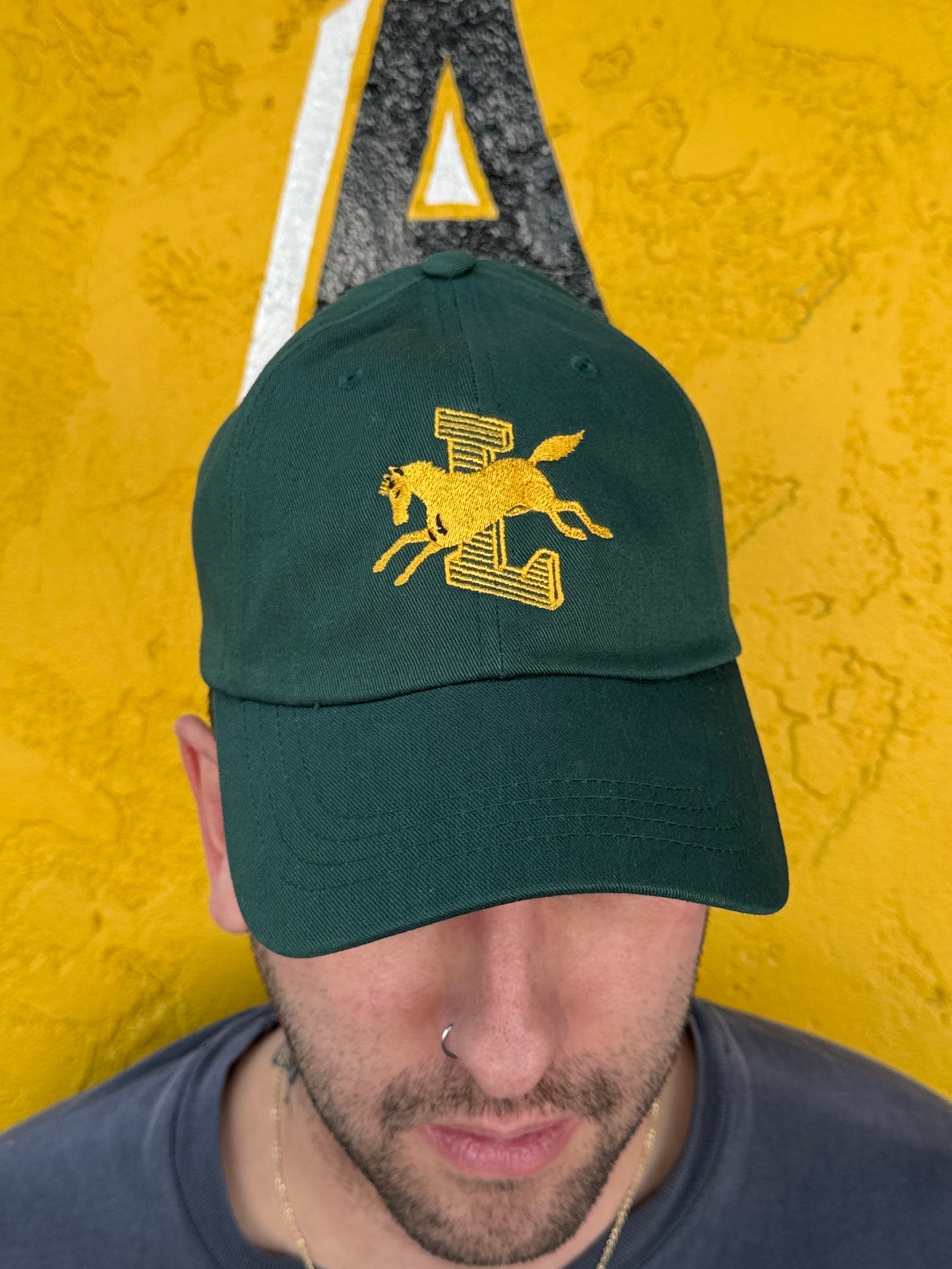 HORSE DAD HAT — GREEN