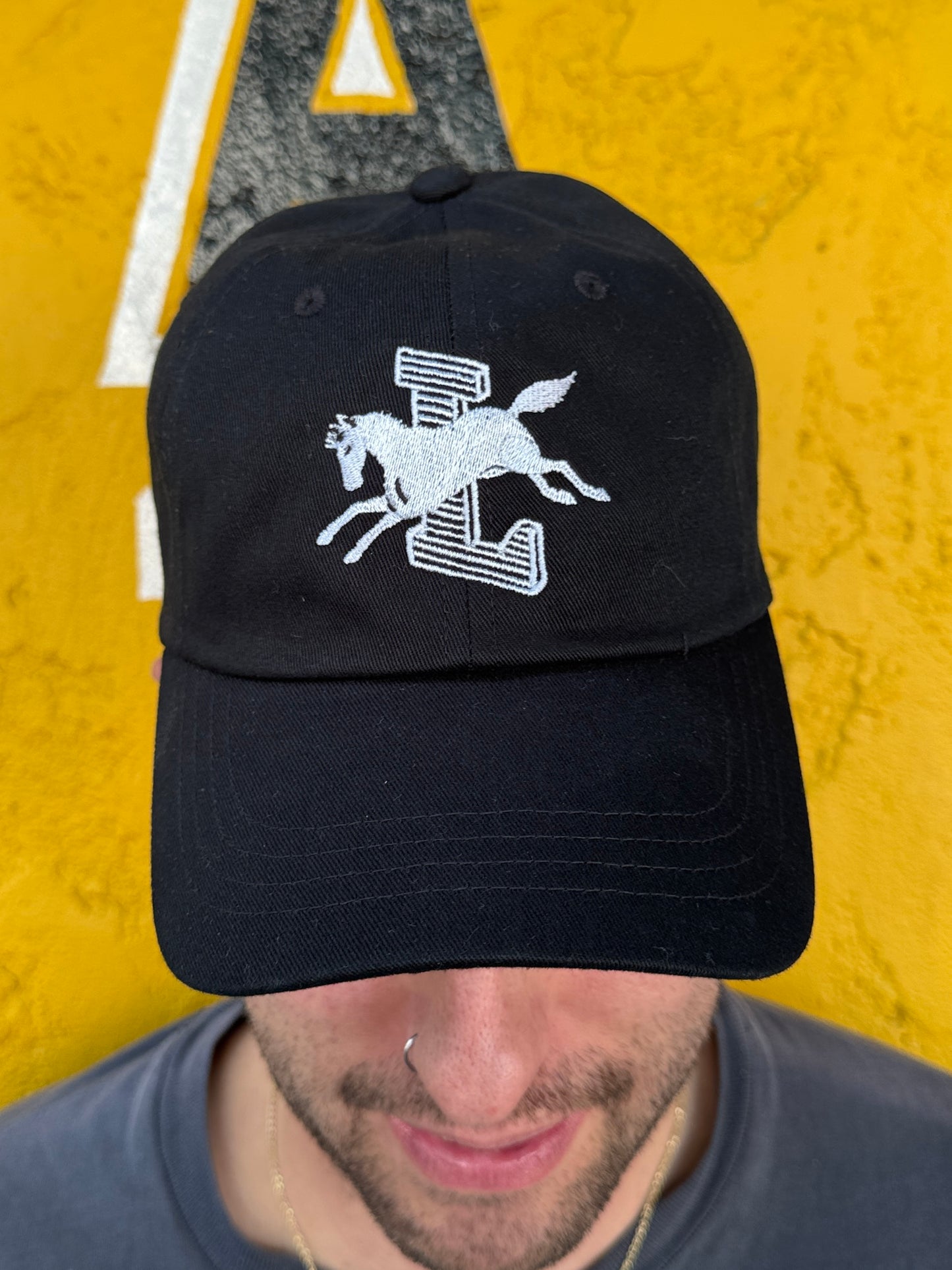 HORSE DAD HAT — BLACK